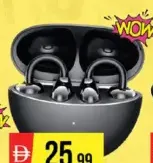 Clip Earbuds
