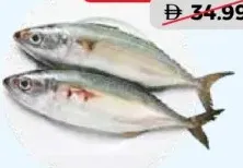 Garfa