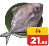 Black Pomfret Fish