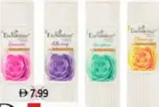 Enchanteur بودر معطر انشانتير
