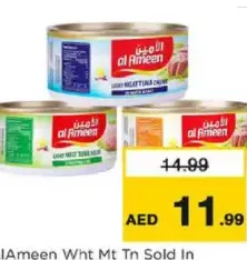 AlAmeen تونة الأمين متنوعة