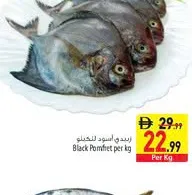 Black Pomfret