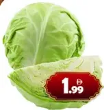 Cabbage