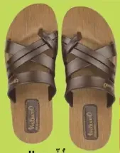 Waikaro Mens Slipper Assorted