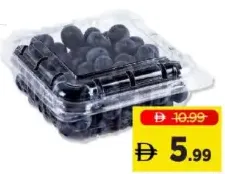 Blueberry PP
