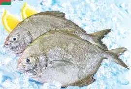 Fresh Black Pomfret