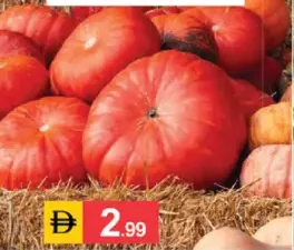 Pumkin Red Mathan