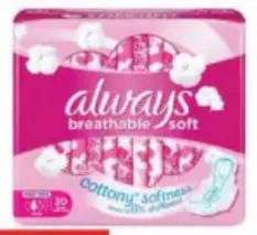 Always Pink L