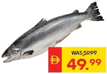 Fresh Norwegian Whole Salmon 2/3