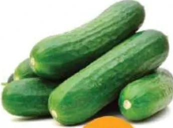 Cucumber