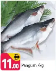pangush