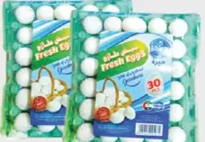 Haira Fresh Eggs