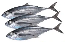 Mankada Per Kg