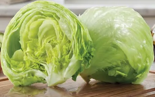 Lettuce Iceberg