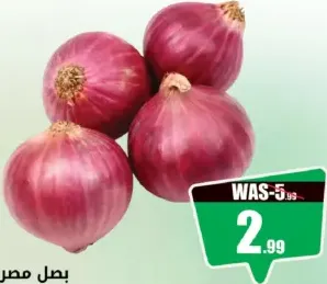 Onion Egypt