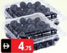 توت أزرق طازج