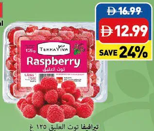 Terraviva Raspberry