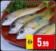 Blackspot Snapper (Naiser) Small