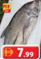 سمك ماكريل بارا طازج