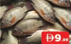 Tilapiya Fresh Fish