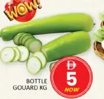 Bottle Gouard
