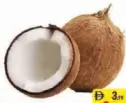 جوز الهند