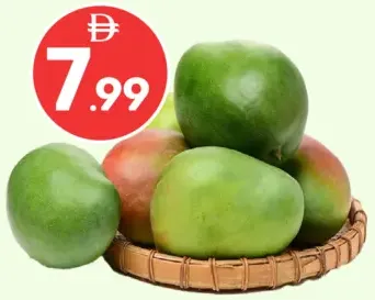 Keitt Mango Egypt