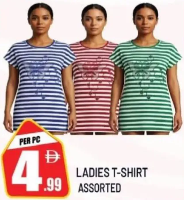 Ladies T-Shirt Assorted