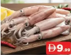 حبار كامل