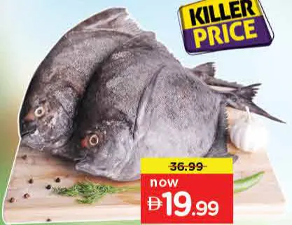 Black Pomfret Fresh