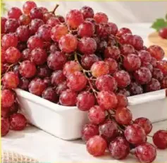 عنب أحمر بدون بذور الحجم