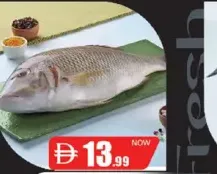 Sheri Fish Big