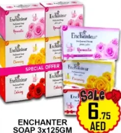 Enchanter Soap