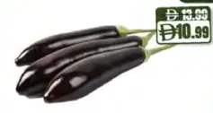 Long Eggplant