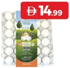 Emirates Royal Egg Medium