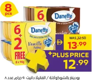 Danette Pudding Chocolate/Vanilla