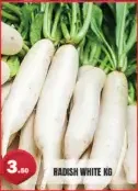 Radish White