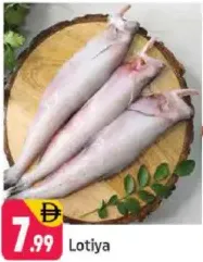 Lotiya