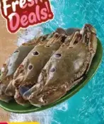 Crab