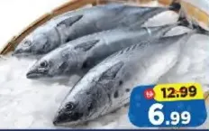 Tuna