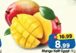 Mango Keitt Egypt