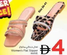 Women's Flat Slipper Assorted