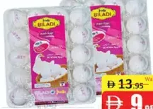 Biladi White Egg
