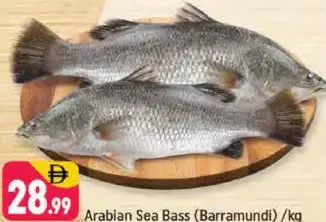 Arabian Sea Bass (Barramundi)