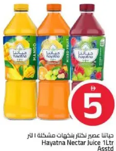 Hayatna Nectar Juice Assorted