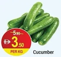 Cucumber