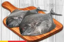 Black Pomfret