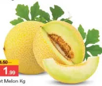 Sweet Melon