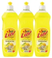 Luv Dish Washing Liq