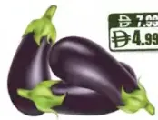 Eggplant